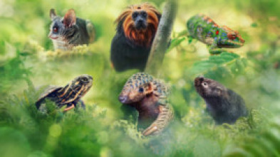 Imagen de Pequeños viajes animales  - 5