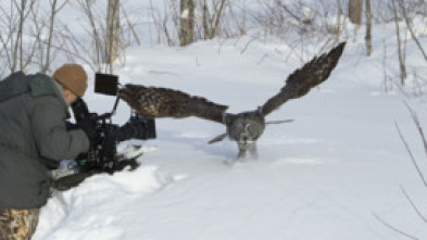 Imagen de Misisipi salvaje: La helada - 6