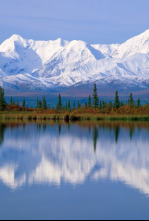 Imagen de Alaska salvaje - 5