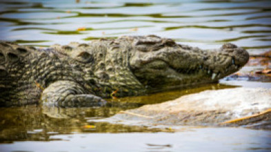 Imagen de Del amanecer al crepúsculo - 5