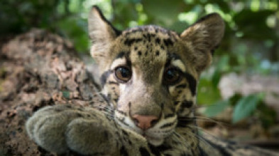 Imagen de Un día en la naturaleza: Un dia calido en el nuevo mundo - 5