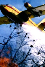 Imagen de Pont de Varsòvia - 4