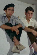 Imagen de Una vez al año ser hippy no hace daño - 4