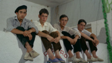 Imagen de Una vez al año ser hippy no hace daño - 5