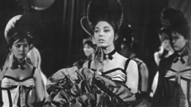 Imagen de Aquí están las vicetiples - 5