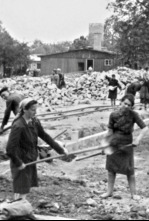 Imagen de Auschwitz, des survivants racontent - 4