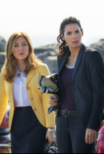 Imagen de Rizzoli & Isles - 4