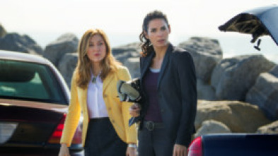 Imagen de Rizzoli & Isles (T7): Ep.5 La Sombra de la Duda - 5