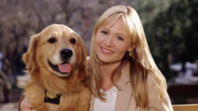 Imagen de Sue Thomas: el... (T3): Ep.17 Juegos mentales - 5