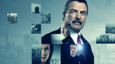 Imagen de Blue Bloods... (T7): Ep.8 Asuntos personales - 5