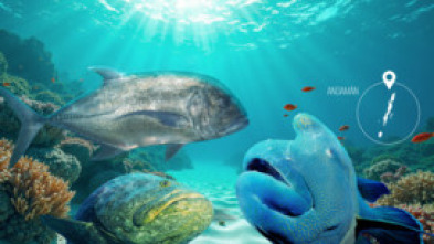 Imagen de Aguas prohibidas Ep 2 El secreto de little andamán - 5