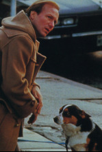 Imagen de El turista accidental - 4