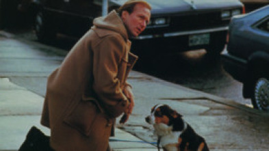 Imagen de El turista accidental - 5