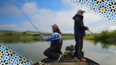 Imagen de Andalusian bass - 5