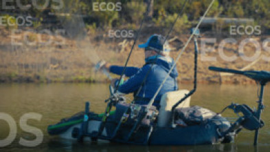 Imagen de Ecos del jarama black bass - 5