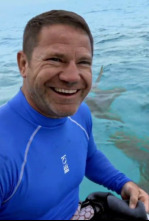 Imagen de Fauna letal: Especial rinocerontes - 4