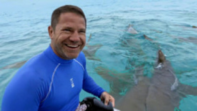 Imagen de Fauna letal - 15