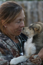 Imagen de Especial Una...: Crisis en el Yukón - 6