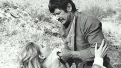 Imagen de Caballos salvajes - 5