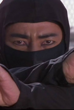 Imagen de La venganza del ninja - 4