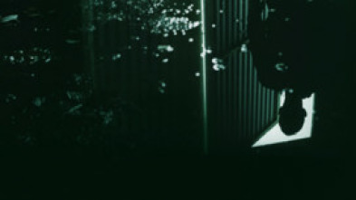 Imagen de Cómo reconocer a... (T9): Ep.4  - 5