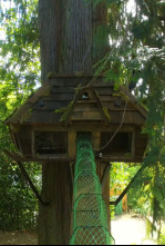 Imagen de Supercasas para... (T1): Castillo para gatos - 4