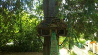 Imagen de Supercasas para mascotas (T1) - 5