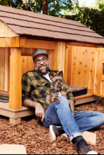 Imagen de Supercasas para mascotas (T2) - 4