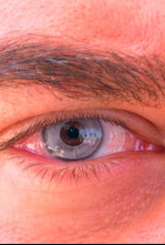 Imagen de Focus  - 4