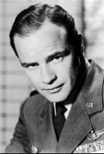 Imagen de Reflejos en un ojo dorado - 4