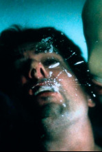 Imagen de Resurrección - 4