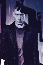 Imagen de American Badger - 4