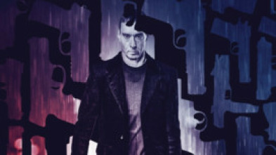 Imagen de American Badger - 5