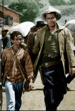 Imagen de Tres flechas - 4