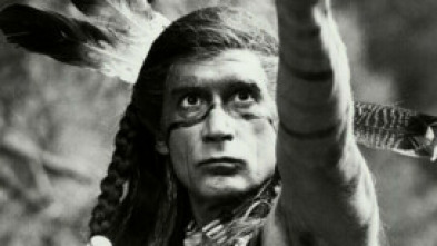 Imagen de Águila gris - 5