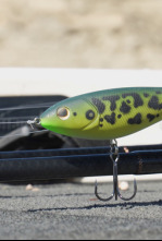 Imagen de Entrenando un Open de Blackbass - 4