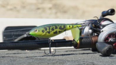 Imagen de Entrenando un Open de Blackbass - 5