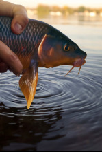 Imagen de La pesca y la vida, un legado de pasión - 4