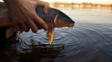 Imagen de La pesca y la vida, un legado de pasión - 5