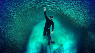 Imagen de Ningaloo. La maravilla...: Elecciones - 15