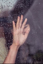 Imagen de El Séneca - 4