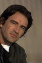 Imagen de Dos semanas - 4