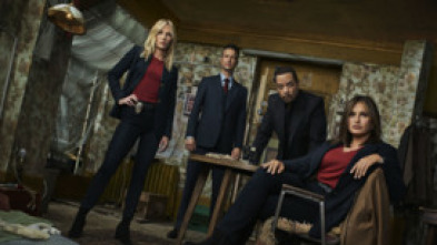 Imagen de Ley y orden: unidad de víctimas especiales (T21) - 5