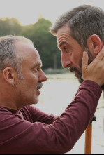 Imagen de Pájaros - 4