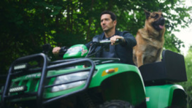 Imagen de Hudson y Rex (T8): Ep.8 A vista de pájaro - 7