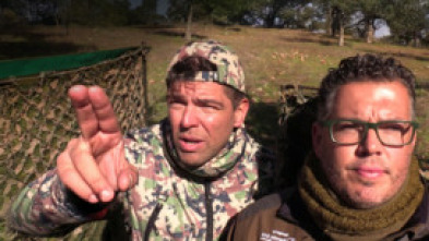 Imagen de Torcaces contra viento y marea - 5