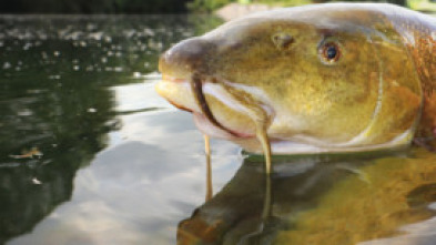 Imagen de Colosos de Ruidera - 5