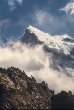 Imagen de Mindful Earth: Respirar - 4