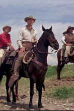 Imagen de Siete cabalgan hacia la muerte - 4