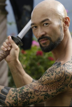 Imagen de El regreso de Falcon - 4